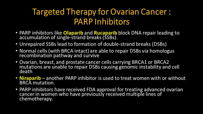 OvarianTumors_Treatment4_PARP_resized.jpg
